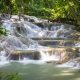 Jamaican Waterfall